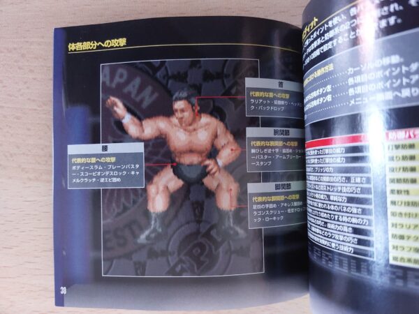 Fire ProWrestling D Limited Edition - Imagen 5