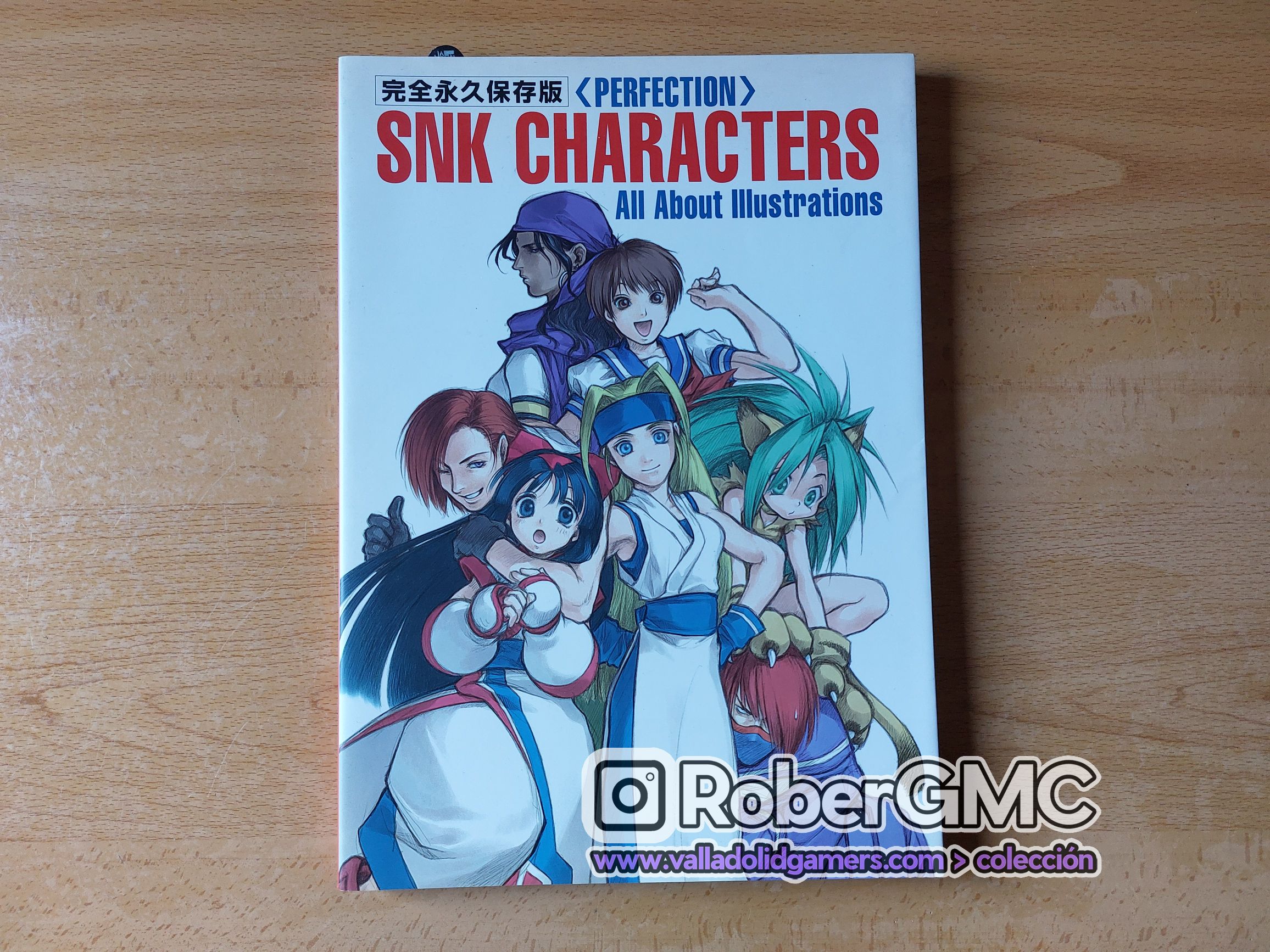 SNK Characters All Illustrations Perfection