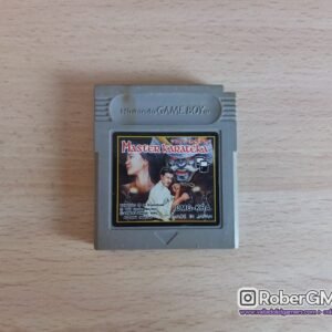 Master Karateka